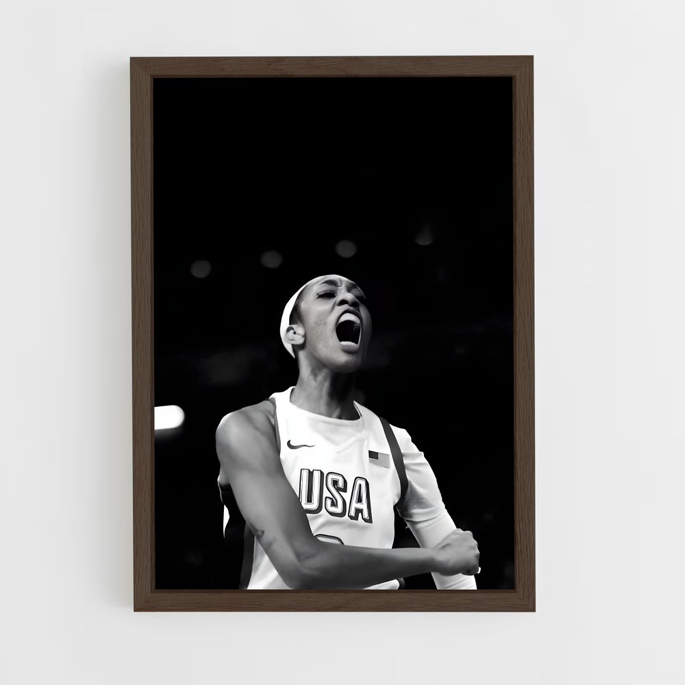 Poster wilson basketball (vue 5)